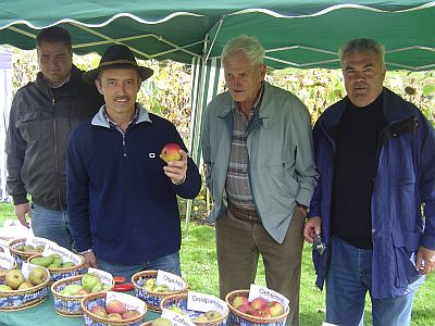 Der Kreisverband.jpg